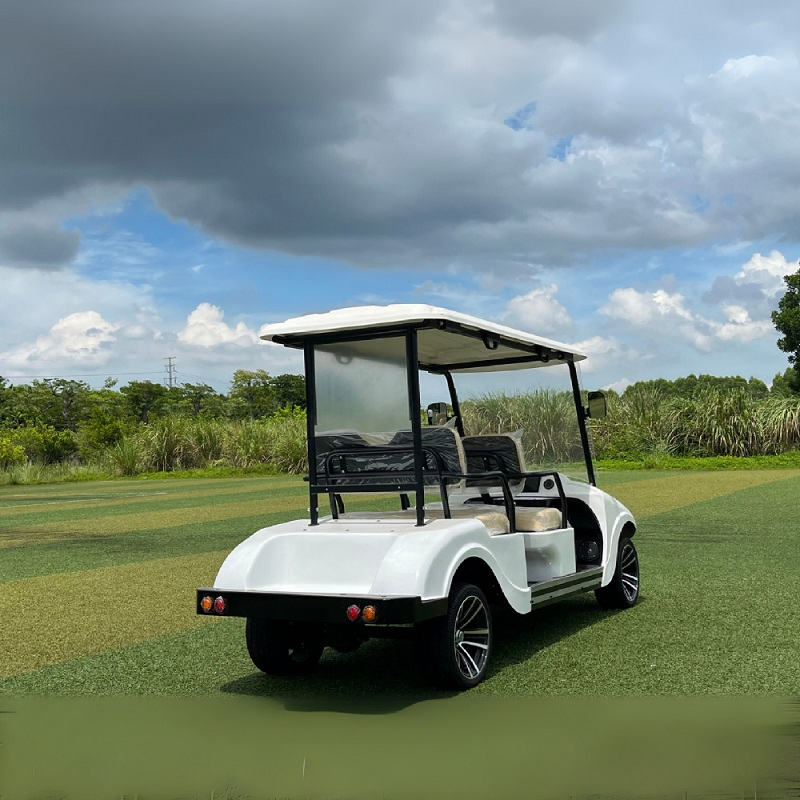 Vintage Lithium for Commercial Use with EPS and Disc Golf Car