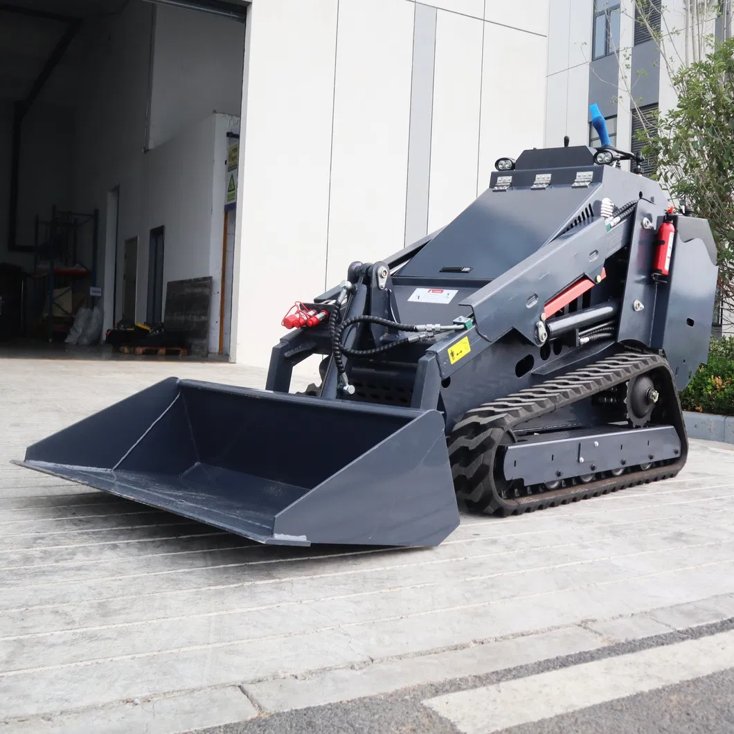 Customized Skid Steer