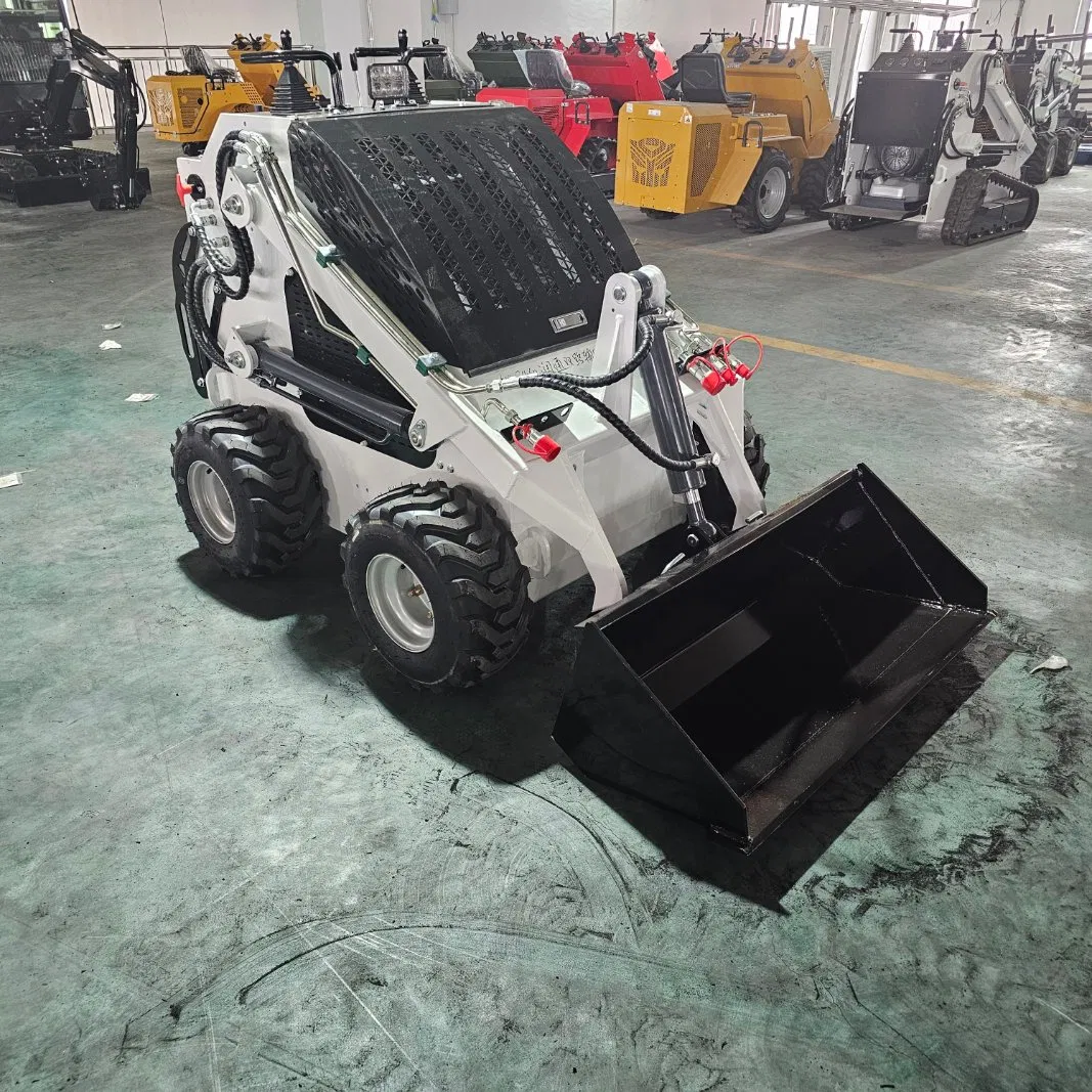 Farm-Specific Skid Steer Loader for Irrigation Projects with Wheel Loader and Mini Skid Steer Loader CE/EPA Free Shipping