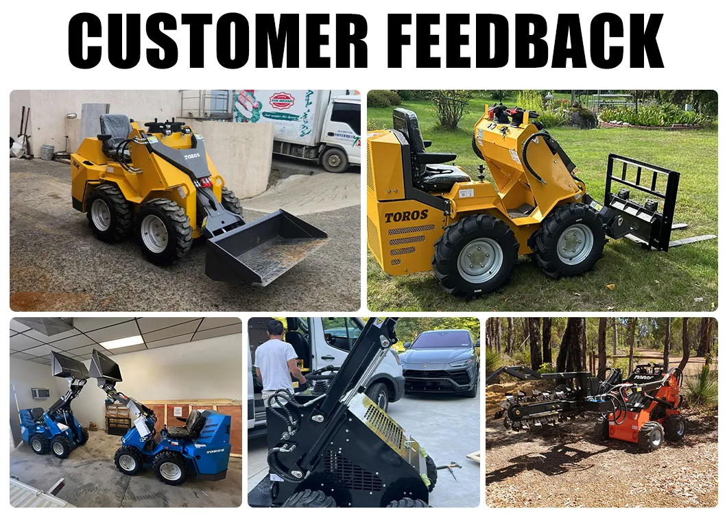 Heavy Duty Mini Loader