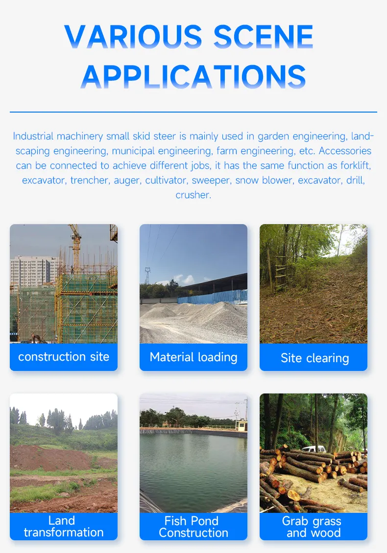 Skid Steer Loader Details