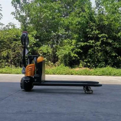 Pallet Truck Detail
