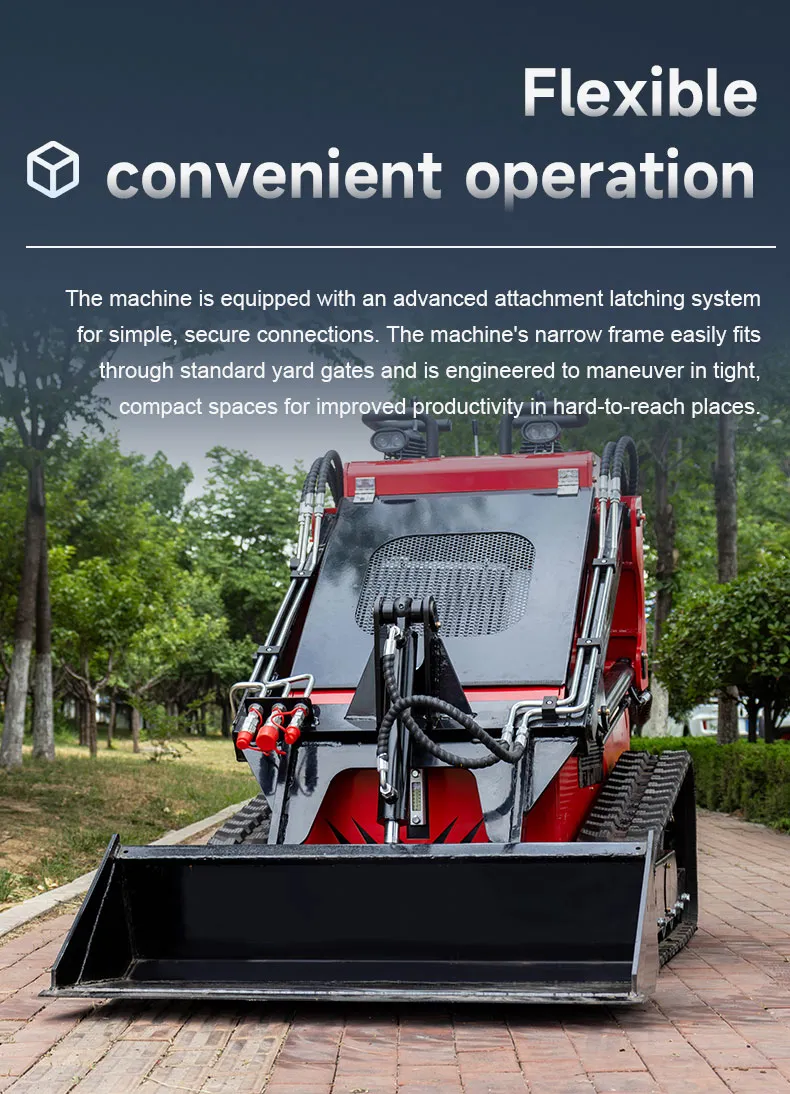 Skid Steer Loader View 10