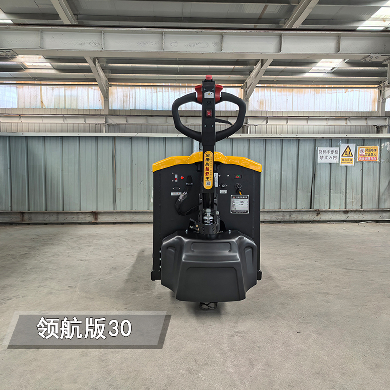 3t Electric Pallet Truck Pilot 30 High Quality Tianyulux Jack