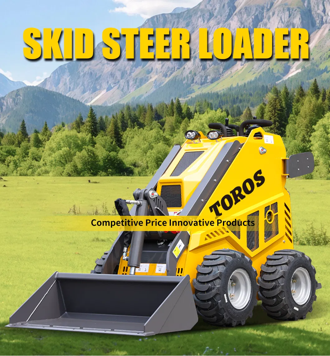 Factory Price Small Loader