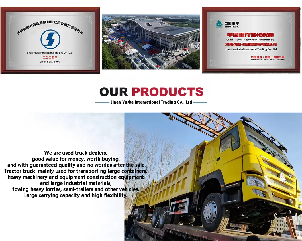 Shacman Dump Truck Detail