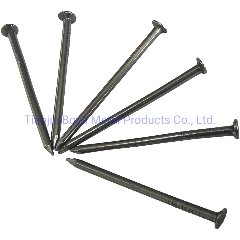 Different Size Common Nail Wih Polished and Galvanized Treatment
