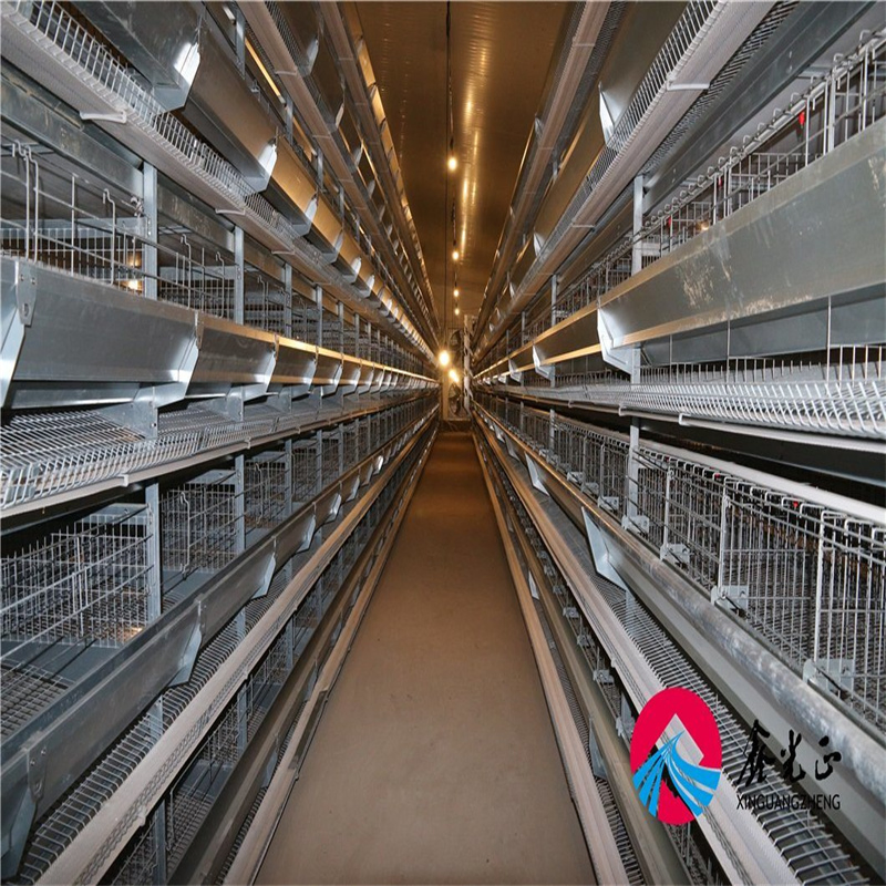 Innovative Metal Products for Green Chicken Farming Practices
