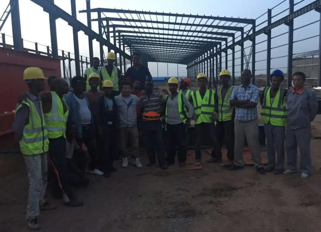 Innovative Metal Products for Green Chicken Farming Practices