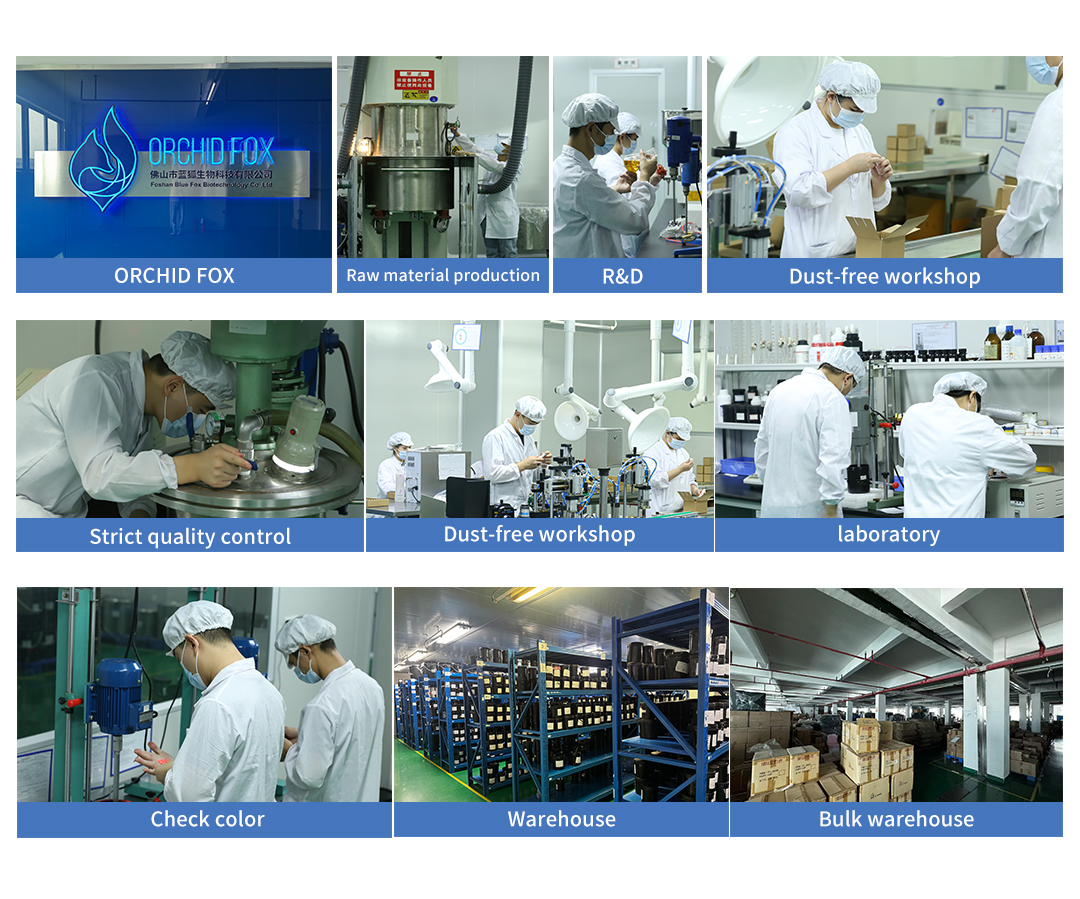 Company Overview