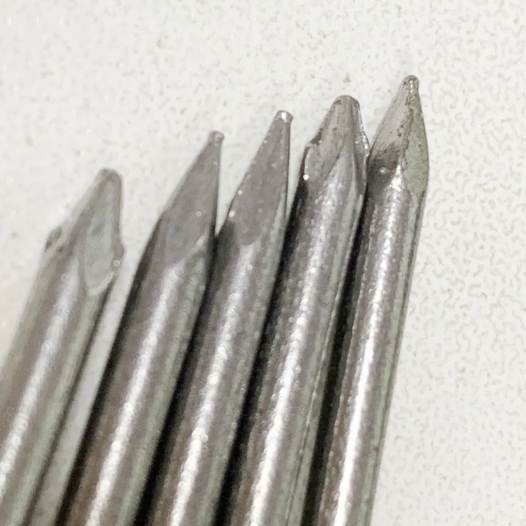 Common Nails Bulk Display