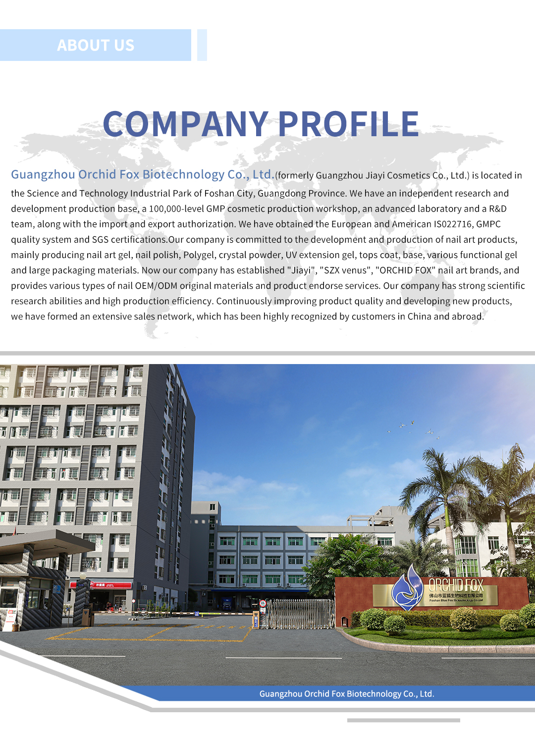 Company Overview