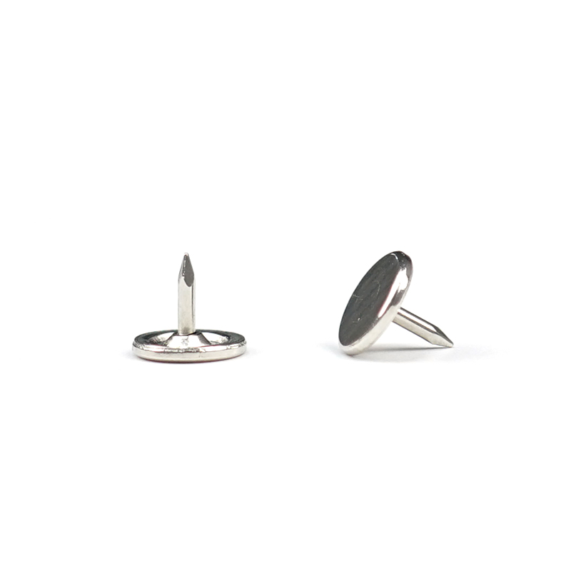 Custom Stainless Steel Round Groove Nail Metal Fabrication Non Standard Fastener Smooth Nail Anti-Theft Nail for Hardware Parts