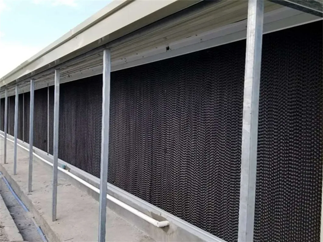 Innovative Metal Products for Green Chicken Farming Practices