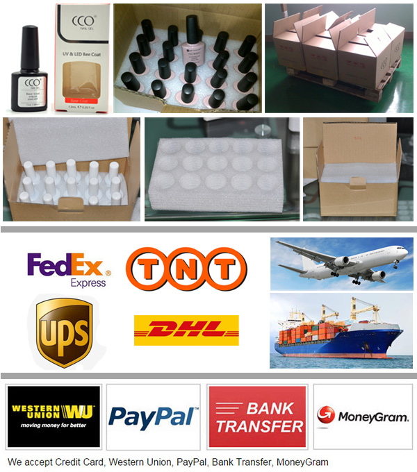 Packaging Layout