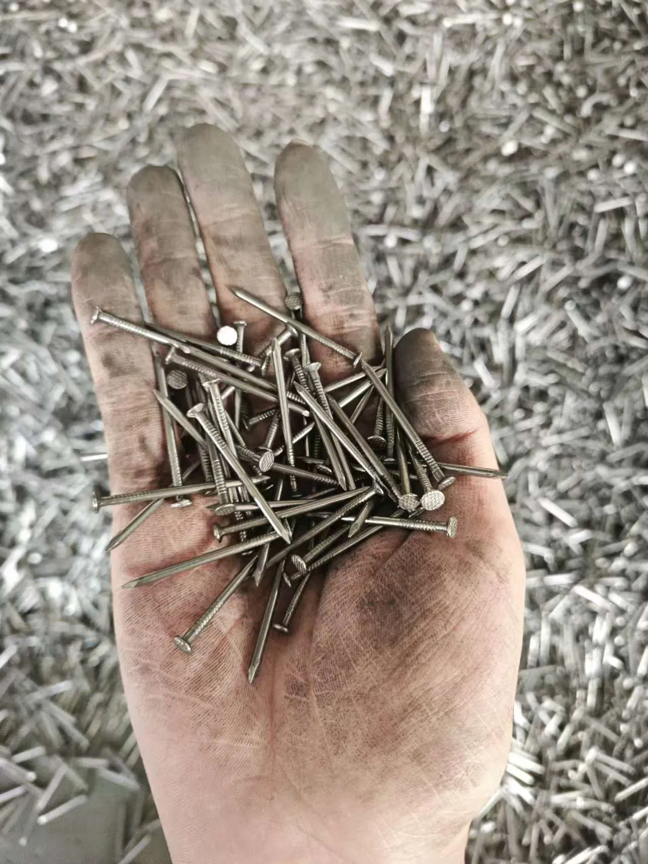 Carbon Steel (ASTM A123) , Copper, Brass, Aluminum Common Nails - Multiple Surface Treatment Options