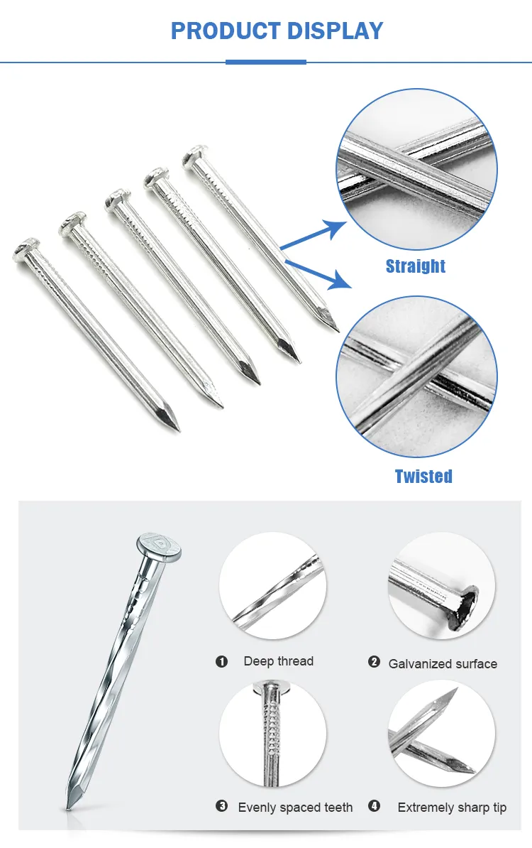 Zinc Coated Concrete Nail Showcase