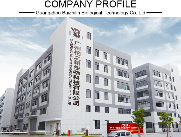 Company Introduction Graphic