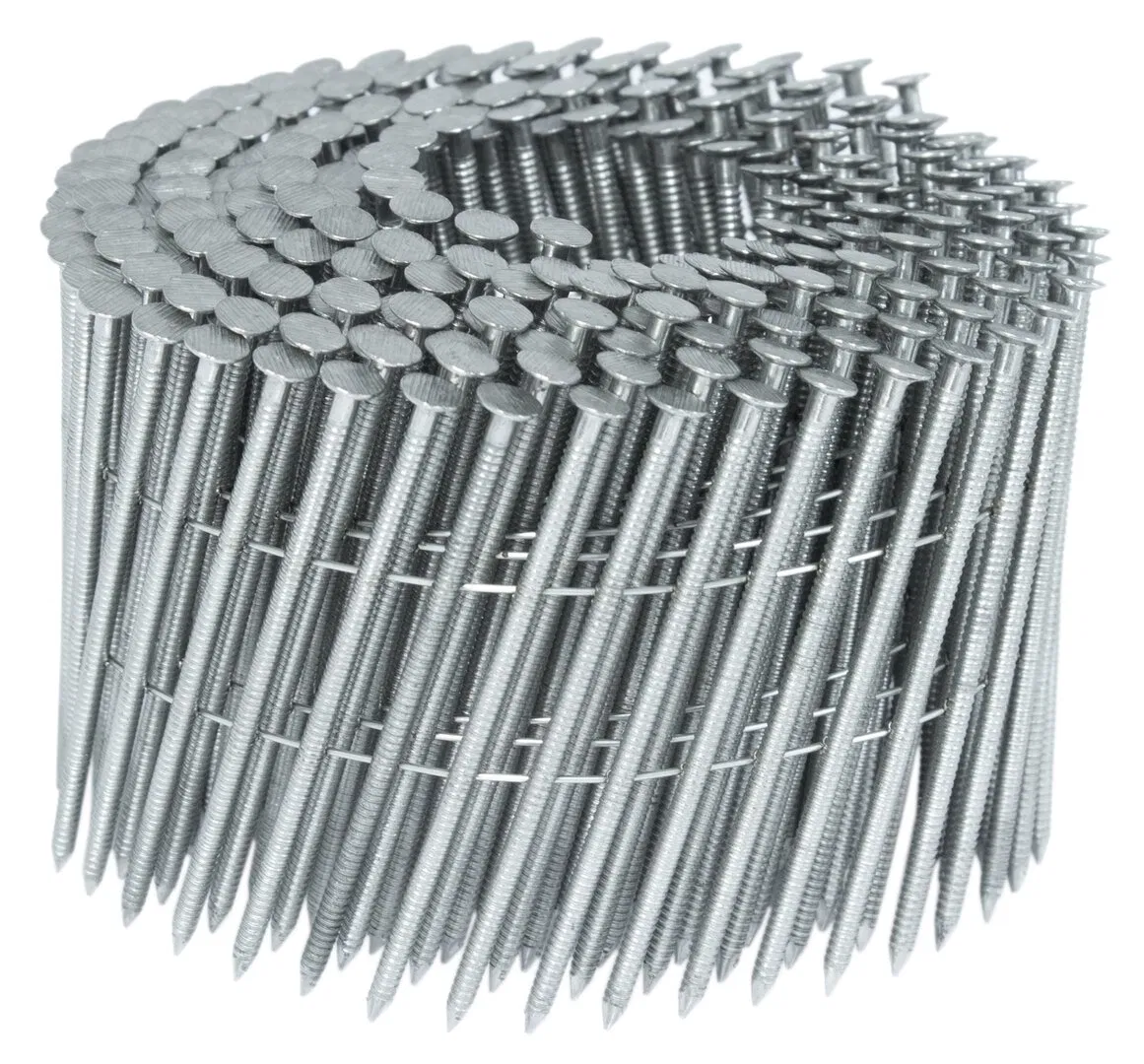 Nail Supplies/ Manufacturer: Staples/Screw/ Finish Nails/ Collated Framing Nails/ Roofing Nails Wire Coil Nails with CE for Pneumatic Nailer &amp; Wood Pallet