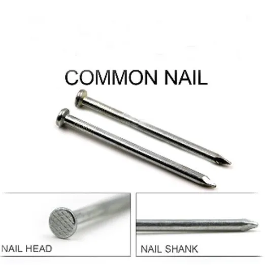 Common Nail Selection
