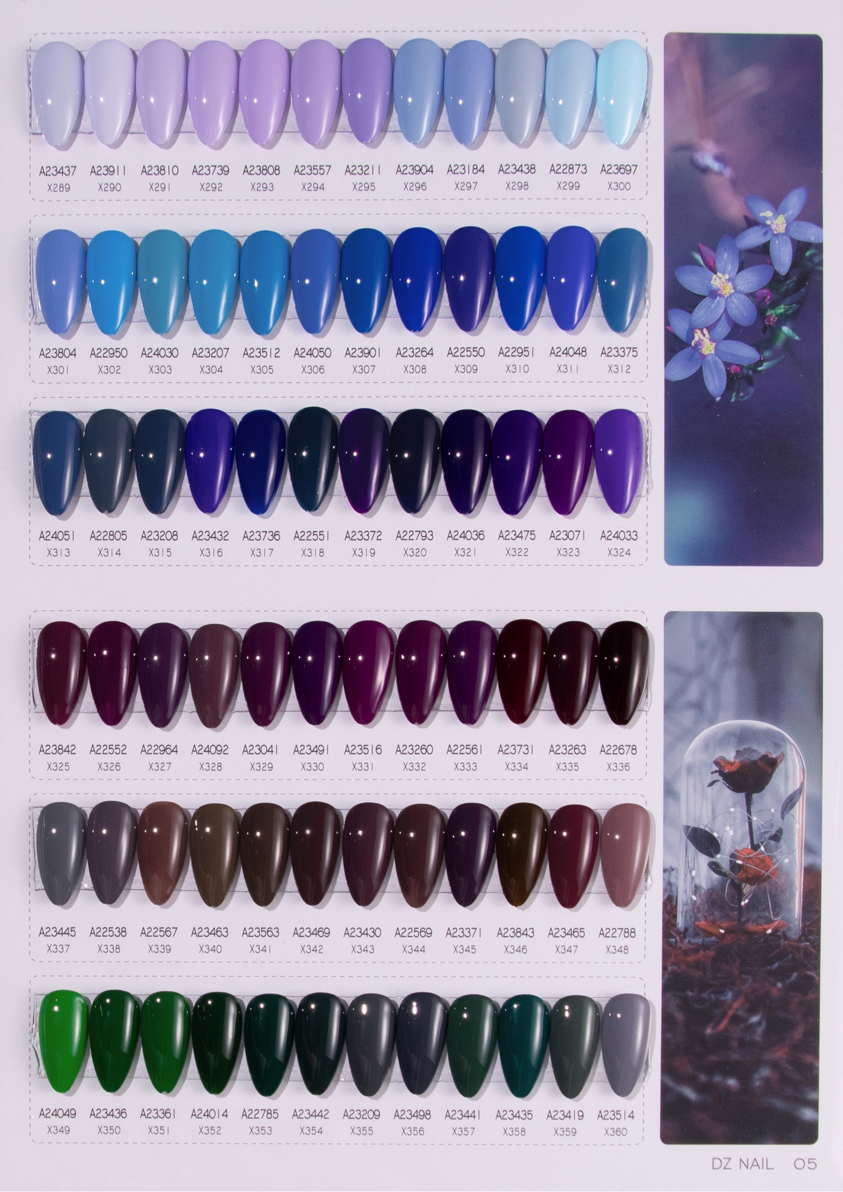 Gel Application 2