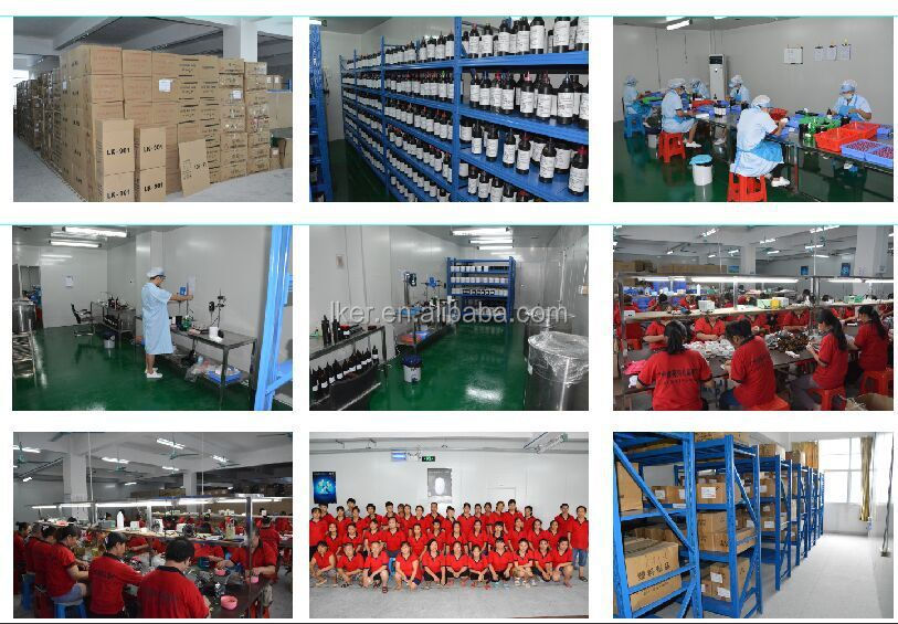 Factory Production Line
