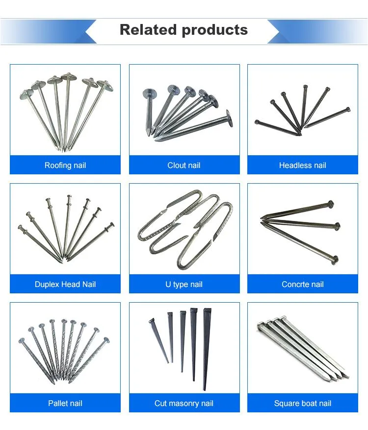 Various nail type portfolio