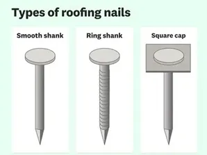 Standard Iron Nails Close Up