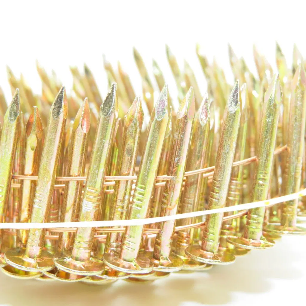 Stainless Steel /Electro-Galvanzied /Hot DIP Galvanized Pallent Roofing Coil Nails