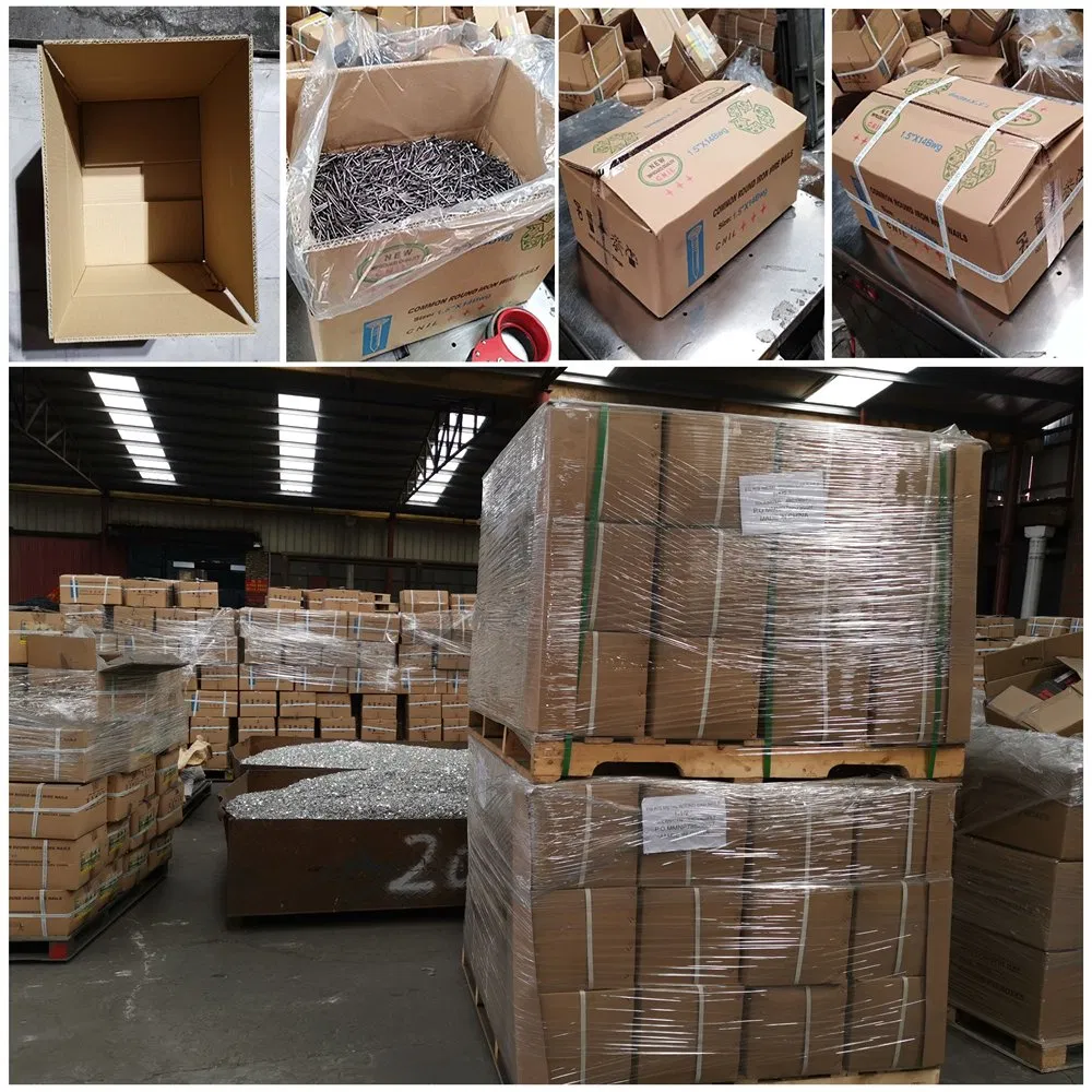 Export cartons