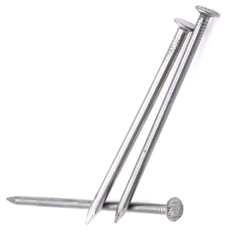 Different Size Common Nail Wih Polished and Galvanized Treatment
