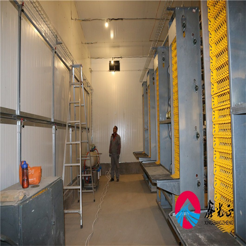 Innovative Metal Products for Green Chicken Farming Practices