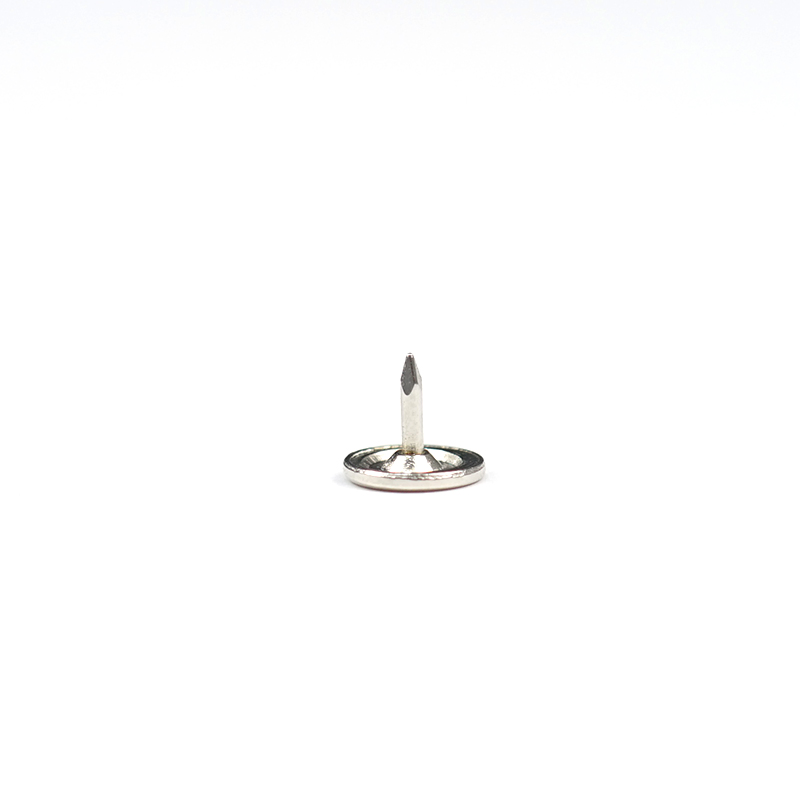 Custom Stainless Steel Round Groove Nail Metal Fabrication Non Standard Fastener Smooth Nail Anti-Theft Nail for Hardware Parts