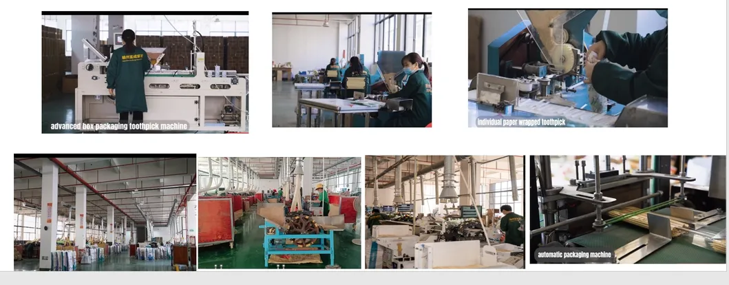 Factory Machine Production Line