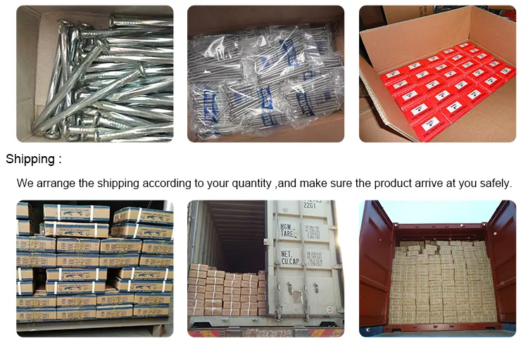 Nails Bulk Packaging Process