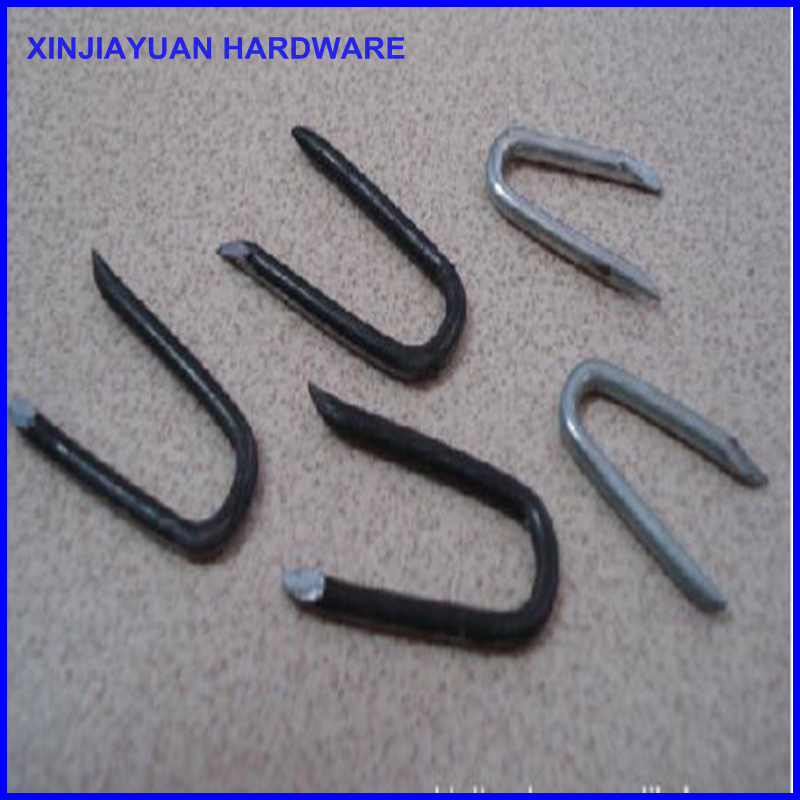Hot DIP Galvanized Fence Staples / U Turf Nails