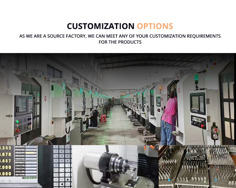 Customization Options