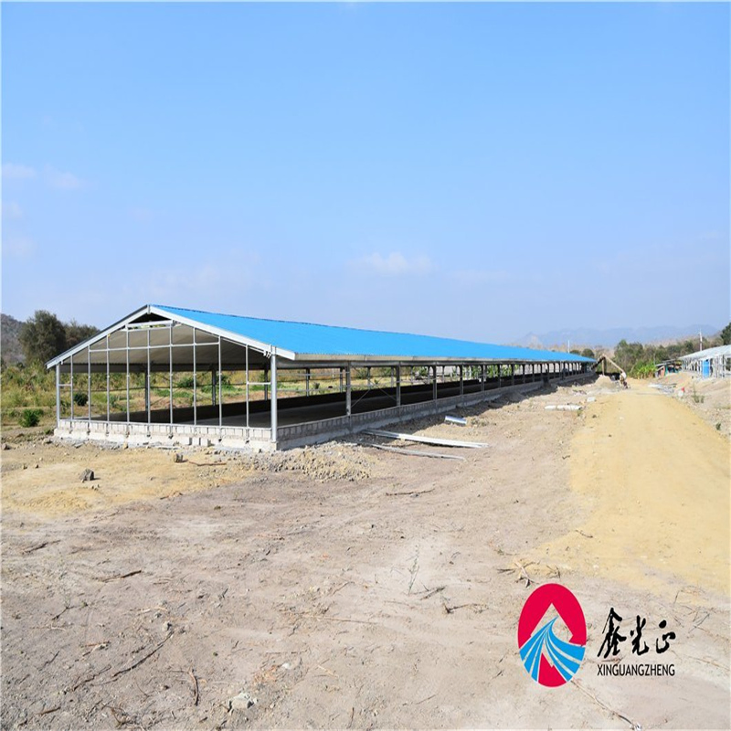Innovative Metal Products for Green Chicken Farming Practices