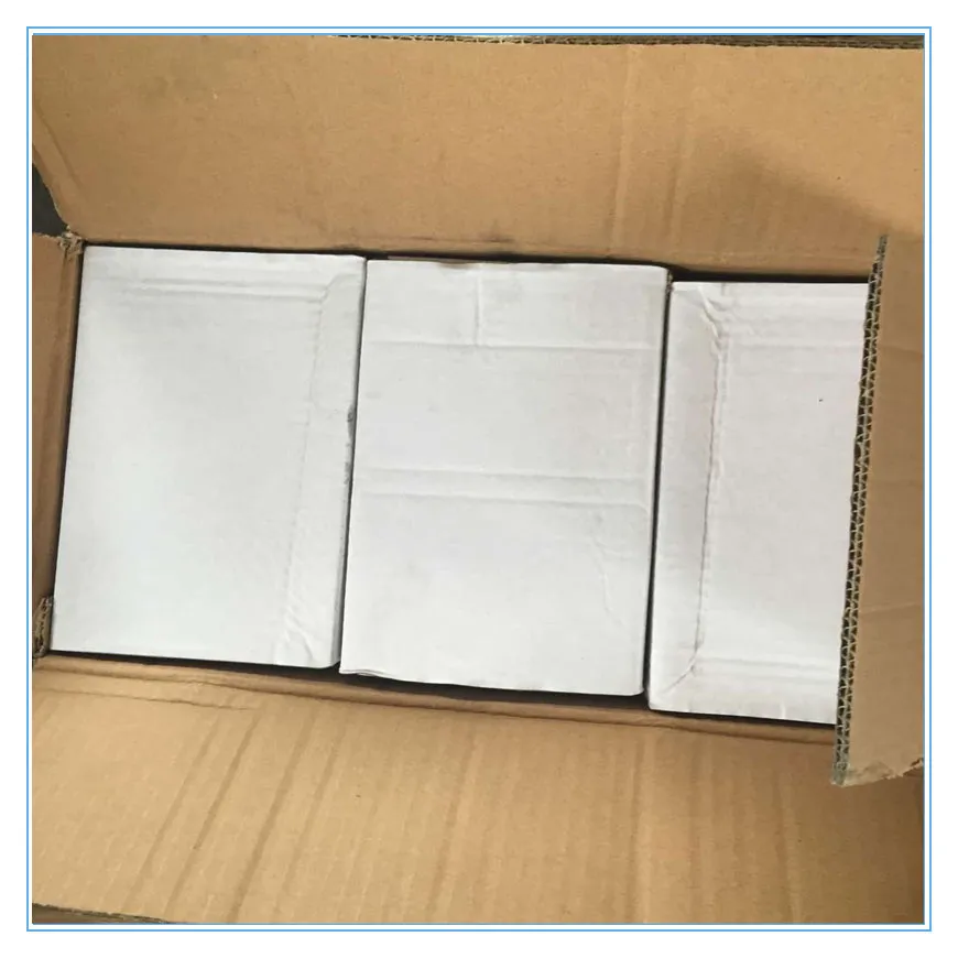 Common Nails in Bulk Packaging