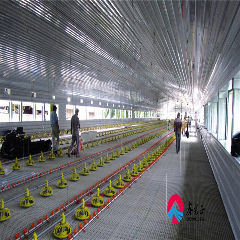 Innovative Metal Products for Green Chicken Farming Practices