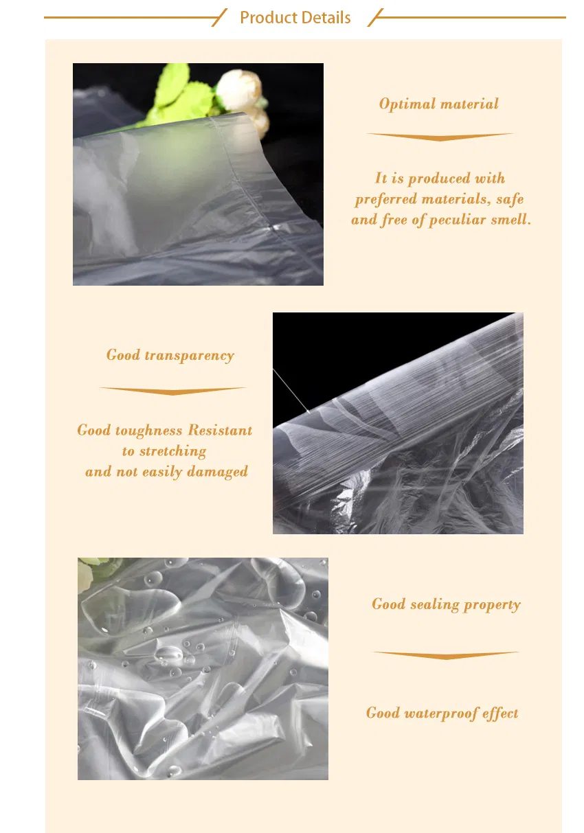 SPA Pedicure Chair with LDPE Space Liner Safety Product
