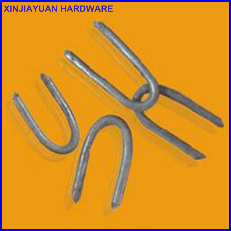 Hot DIP Galvanized Fence Staples / U Turf Nails