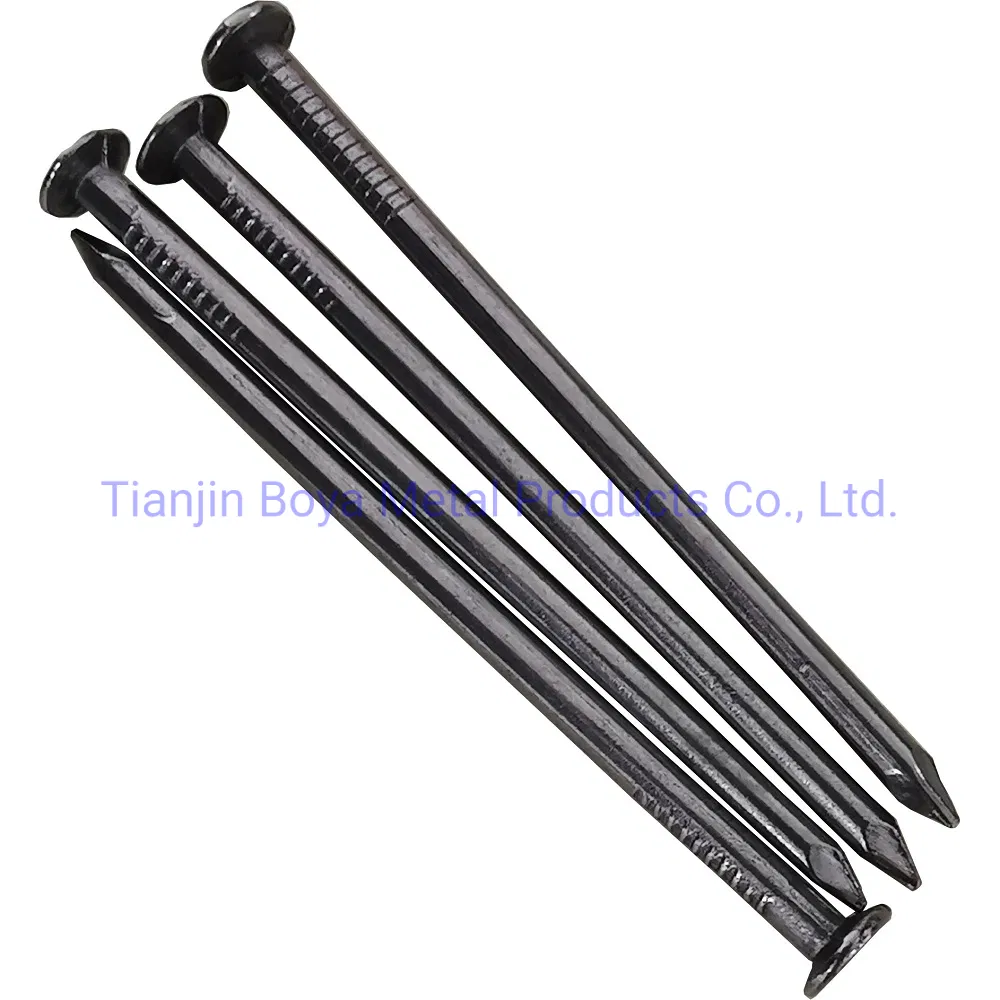 Different Size Common Nail Wih Polished and Galvanized Treatment