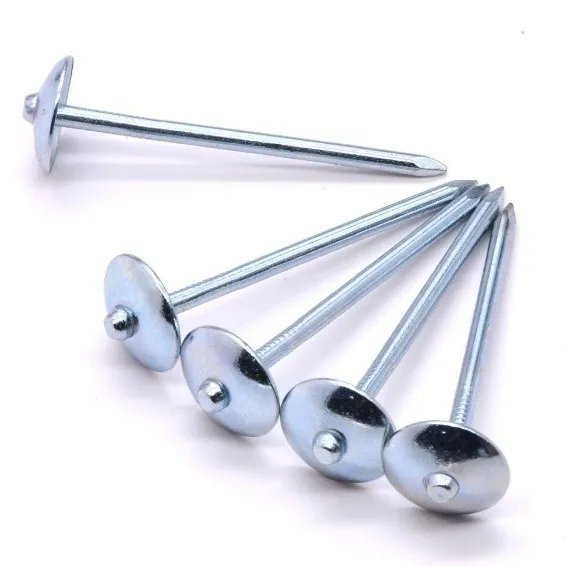 Galvanized Steel Nails Detail