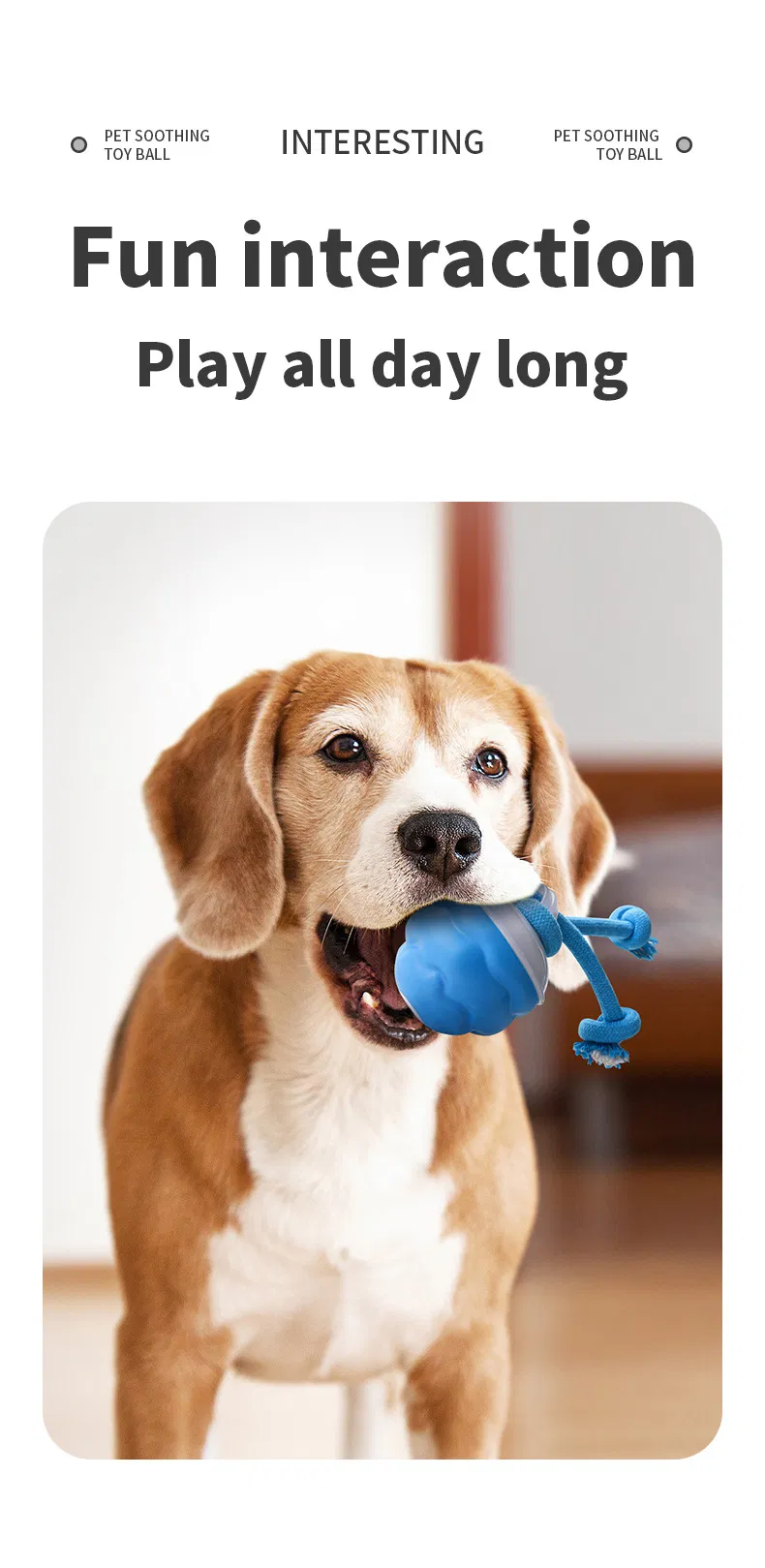 Juguetes interactivos para perros que saltan y rebotan al ser tocados