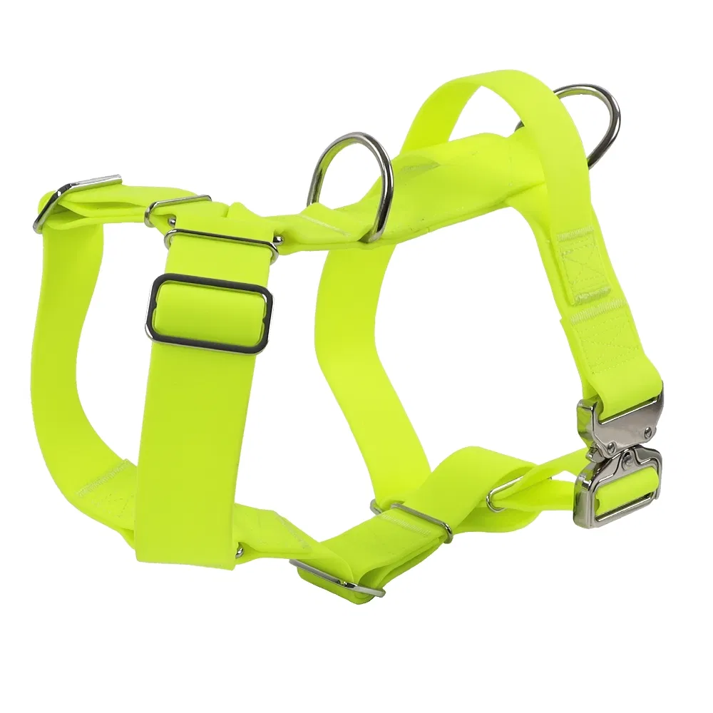 Detalle del collar ajustable para mascotas