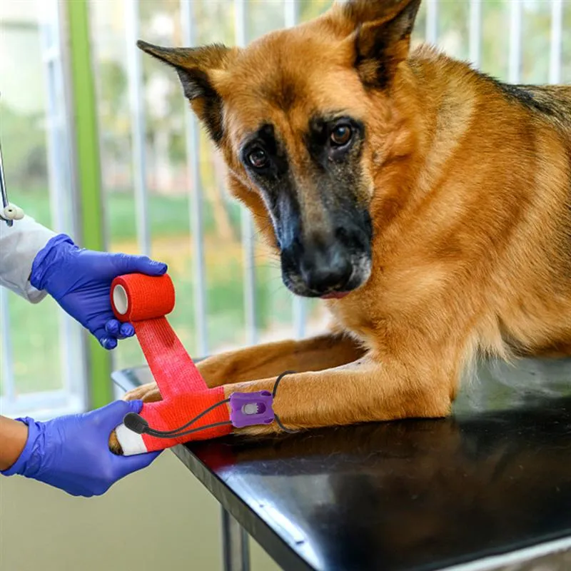 Torniquete Perro Primer Mascota Animal Liberación Rápida Gato Torniquete Torniquetes Ayuda Canina Elástico Portátil Gatos Ayudas Médicas