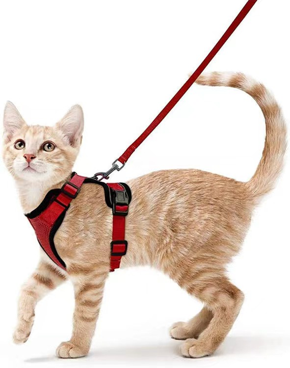 Fabricantes OEM Personalizado Sublimación Escape Prueba Fácil Ajustable Arnés Correa y Arnés para Gato
