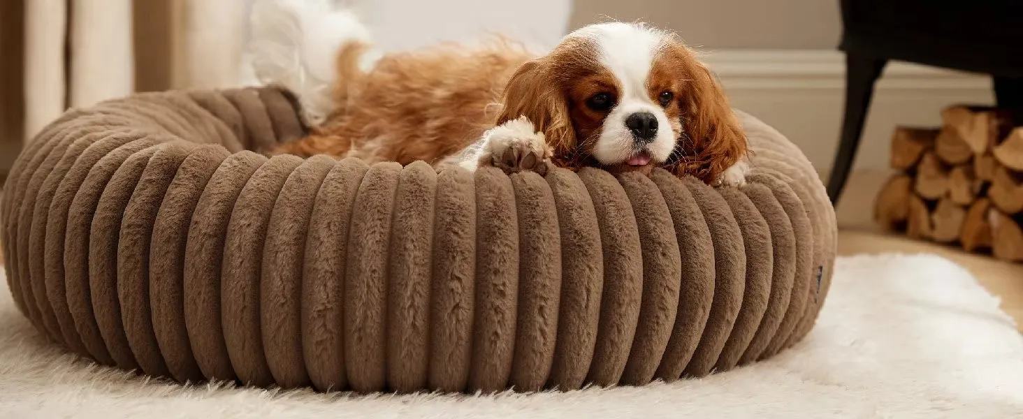 Cama para perros moderna y cómoda de invierno