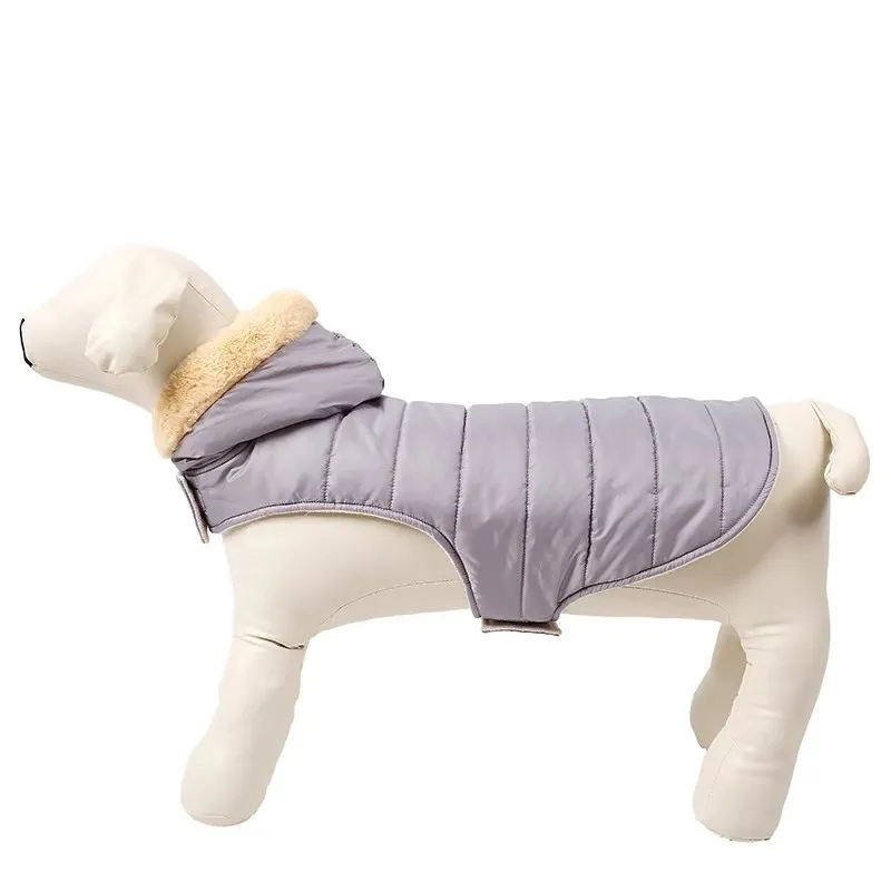 Recomendación de estilo ropa mascotas